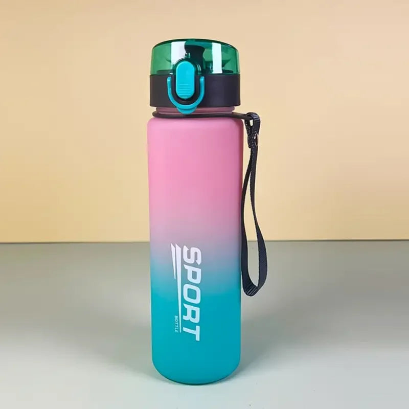 Hiking/sports water bottle