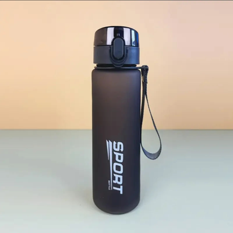 Hiking/sports water bottle