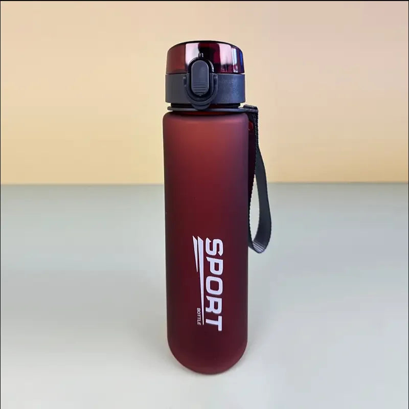 Hiking/sports water bottle