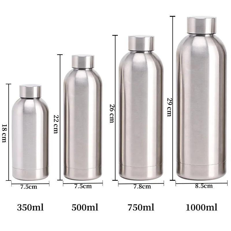 Stainless Steel Water Bottle